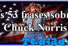 As 53 frases sobre Chuck Norris 12