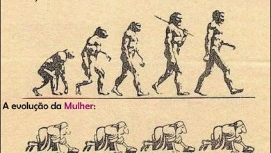 A evolução do Homem e da Mulher 35