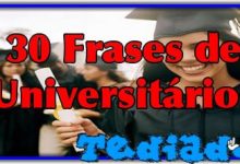 30 Frases de universitários 7
