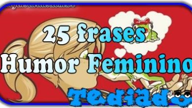 25 frases Humor Feminino 2