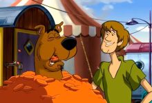 Scoobystep 8