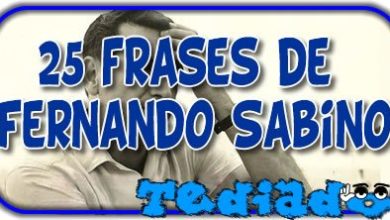 25 frases de Fernando Sabino 7