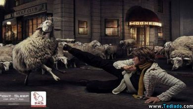 Publicidade criativa envolvendo animais (23 fotos) 43