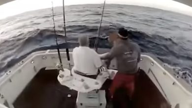 A pescaria mais engraçada que você vai ver 8