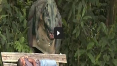 Pegadinha - Dinossauro no parque 3