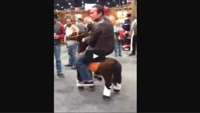 Arnold Schwarzenegger andando de cavalo 2