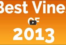 Os melhores Vines de 2013 8