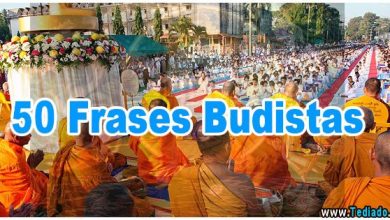 50 Frases Budistas 1