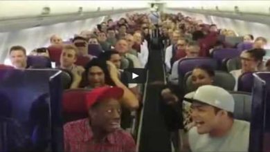Flashmob do elenco original do filme Rei Leão canta Circle of Life no vôo para Sydney 2