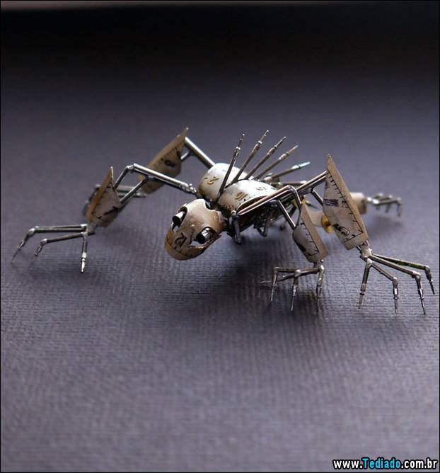 insetos-relogios-03
