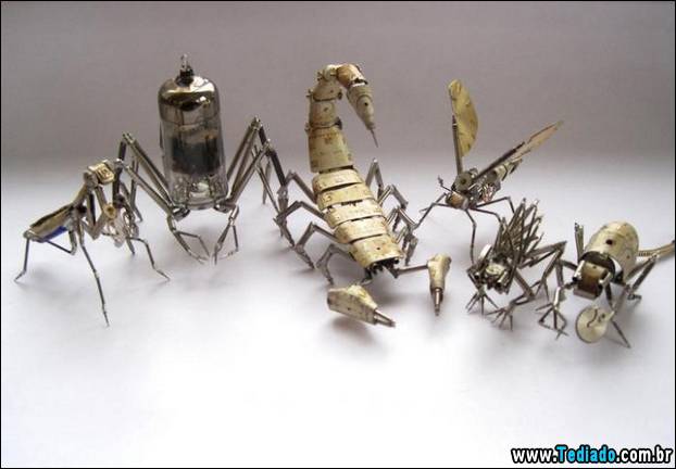 insetos-relogios-05