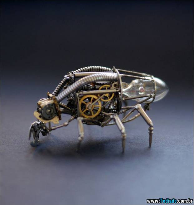 insetos-relogios-06