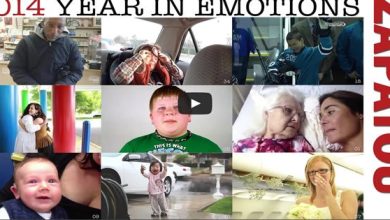 2014 O ano de emoções 2
