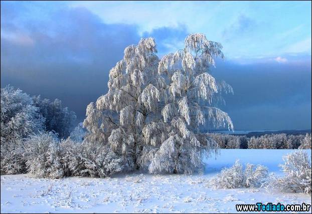 fotos-impressionantes-da-natureza-do-inverno-04