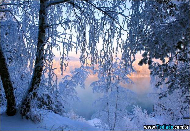 fotos-impressionantes-da-natureza-do-inverno-06