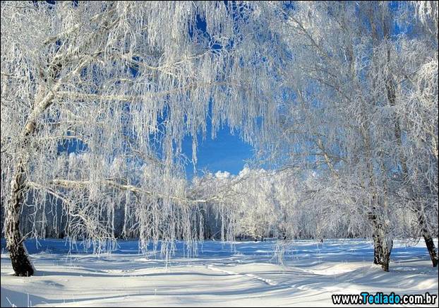 fotos-impressionantes-da-natureza-do-inverno-13