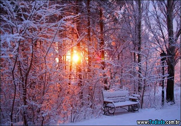 fotos-impressionantes-da-natureza-do-inverno-14