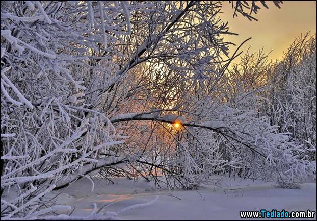 fotos-impressionantes-da-natureza-do-inverno-15