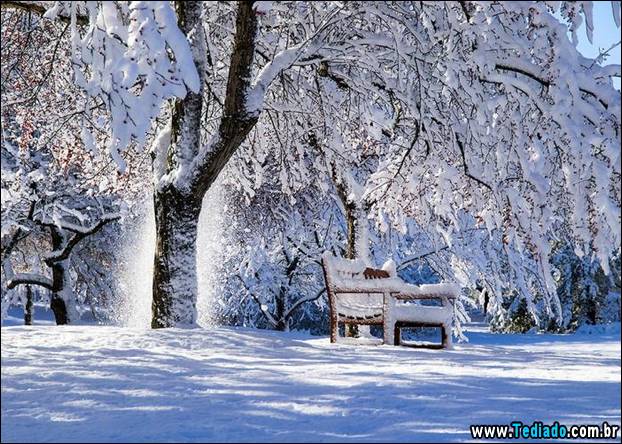 fotos-impressionantes-da-natureza-do-inverno-17