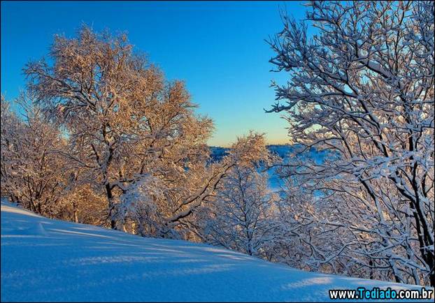 fotos-impressionantes-da-natureza-do-inverno-19