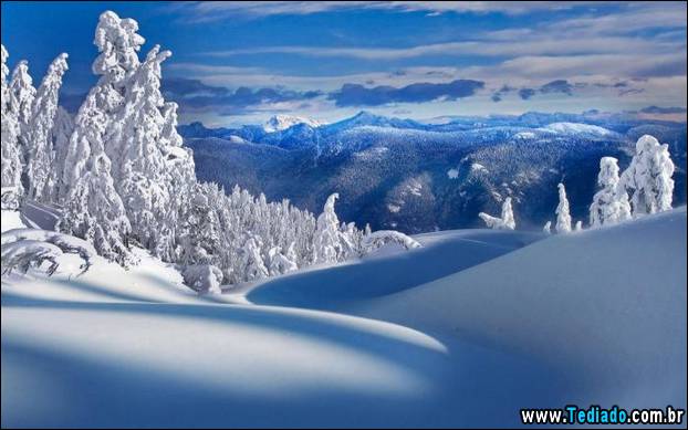 fotos-impressionantes-da-natureza-do-inverno-24