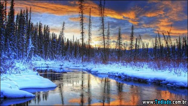 fotos-impressionantes-da-natureza-do-inverno-26