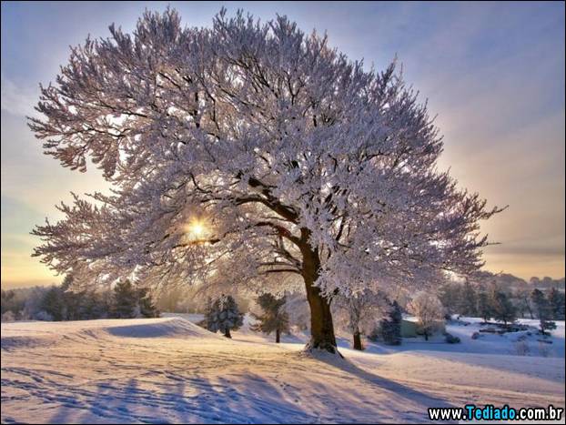 fotos-impressionantes-da-natureza-do-inverno-32