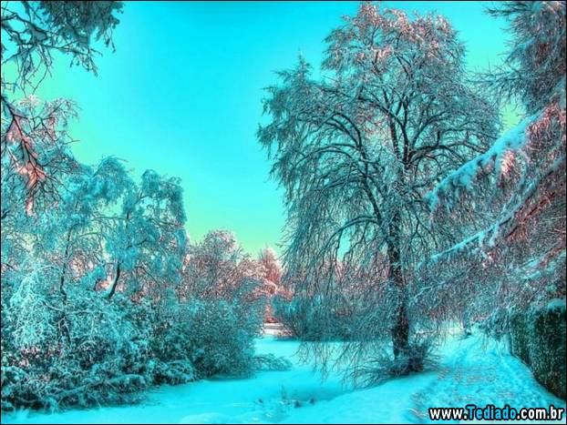 fotos-impressionantes-da-natureza-do-inverno-36