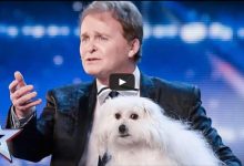 Um cachorro falante no Britain’s Got Talent 34