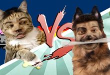 Batalha de Rap: Gato Vs Cão 10