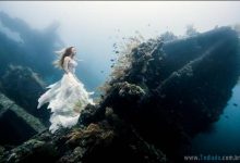 45 belas fotografias subaquáticas 3