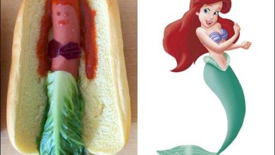 Como seria as Princesas da Disney se fossem Hot Dogs 24