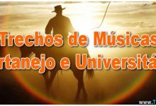 50 Trechos de Músicas de Sertanejo e Universitário 33