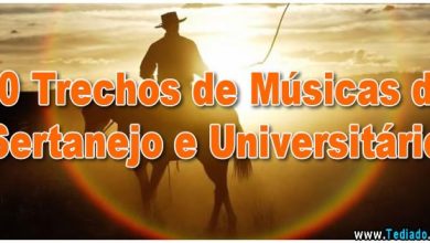 50 Trechos de Músicas de Sertanejo e Universitário 1