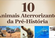 10 Animais Mais Aterrorizantes da Pré-História 8