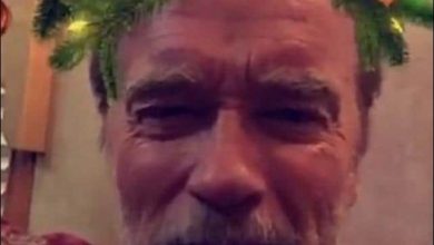 Apenas uma foto do Arnold Schwarzenegger para o Natal 4