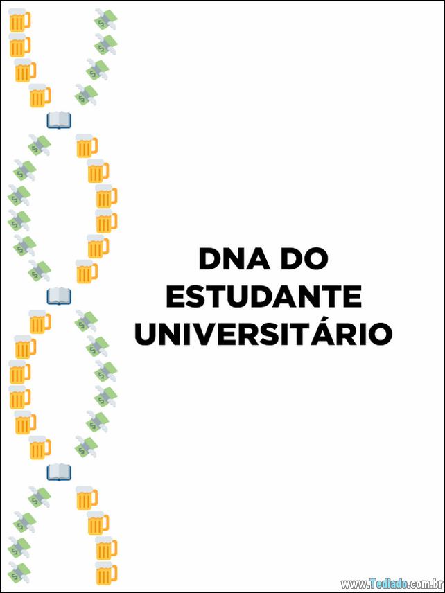 dns-emoji-brasileiro-04