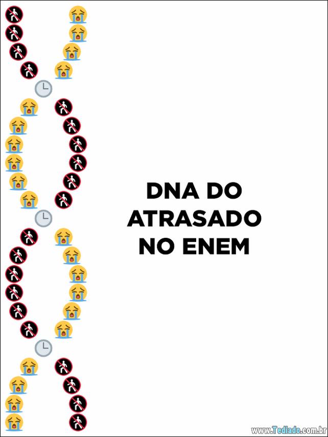 dns-emoji-brasileiro-05