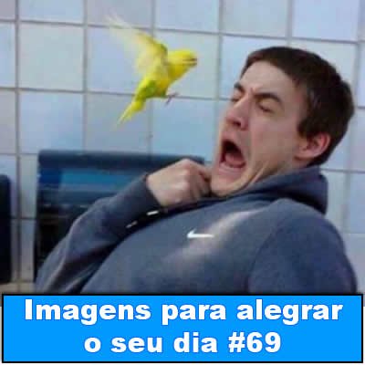 Imagens para alegrar o seu dia #69 semana - link da semana 041 - T-Links #219 – Links da semana - foto link-da-semana-04 semana - link da semana 041 - T-Links #219 – Links da semana