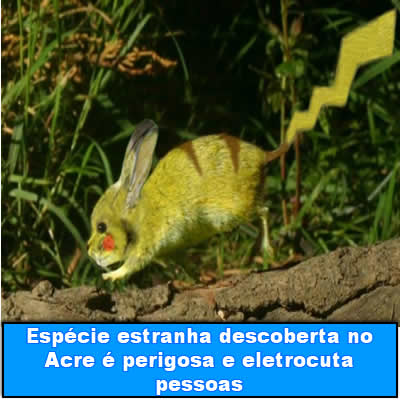 Espécie estranha descoberta no Acre é perigosa e eletrocuta pessoas semana - link da semana 08 - T-Links #219 – Links da semana - foto link-da-semana-08 semana - link da semana 08 - T-Links #219 – Links da semana