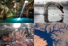 Água e suas estruturas e propriedades (41 fotos) 10