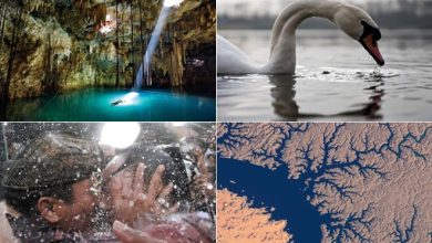 Água e suas estruturas e propriedades (41 fotos) 35
