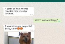 10 conversar com cachorro no WhatsApp 10
