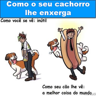 Como o seu cachorro lhe enxerga links da semana - link da semana 04 - T-Links #232 – Links da semana - foto link-da-semana-04 links da semana - link da semana 04 - T-Links #232 – Links da semana