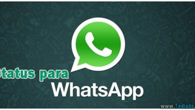 200 Status para whatsapp 2016 6
