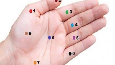 9 pontos da mão que vai mudar sua vida 8