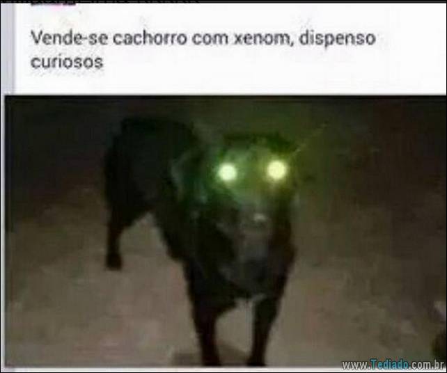 21 momentos que os brasileiros mostrar que melhor remédio é rir - brasileiros brasileiros-zueira-remedio-rir-15 21 momentos que os brasileiros mostrar que melhor remédio é rir