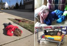 32 fotos divertidas que provam que as crianças podem dormir em qualquer lugar 9