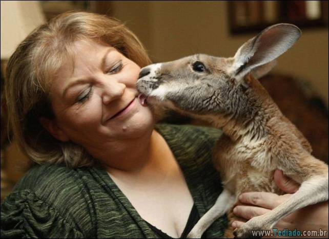 animais - fotos de animais feliz 17 - 17 melhores fotos de animais que vão fazer você feliz - foto fotos-de-animais-feliz-17 animais - fotos de animais feliz 17 - 17 melhores fotos de animais que vão fazer você feliz