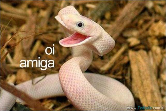 amigos - tipo de amigos 10 - 13 tipos de amigos que todo mundo tem - foto tipo-de-amigos-10 amigos - tipo de amigos 10 - 13 tipos de amigos que todo mundo tem
